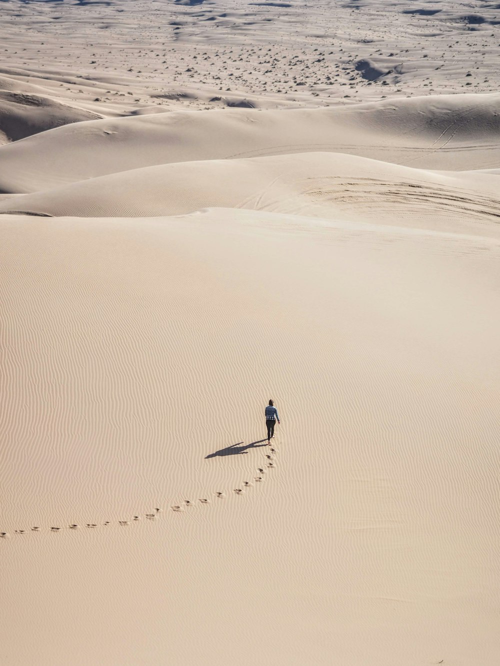 昼間、砂漠の砂の上を歩く人