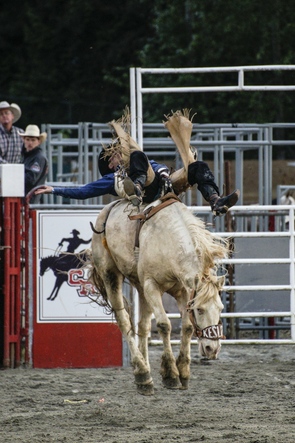 uomo a cavallo