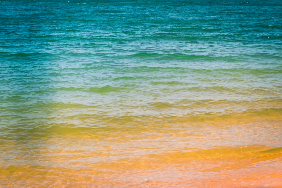 Shore photo spot Coochiemudlo Island Duranbah Beach