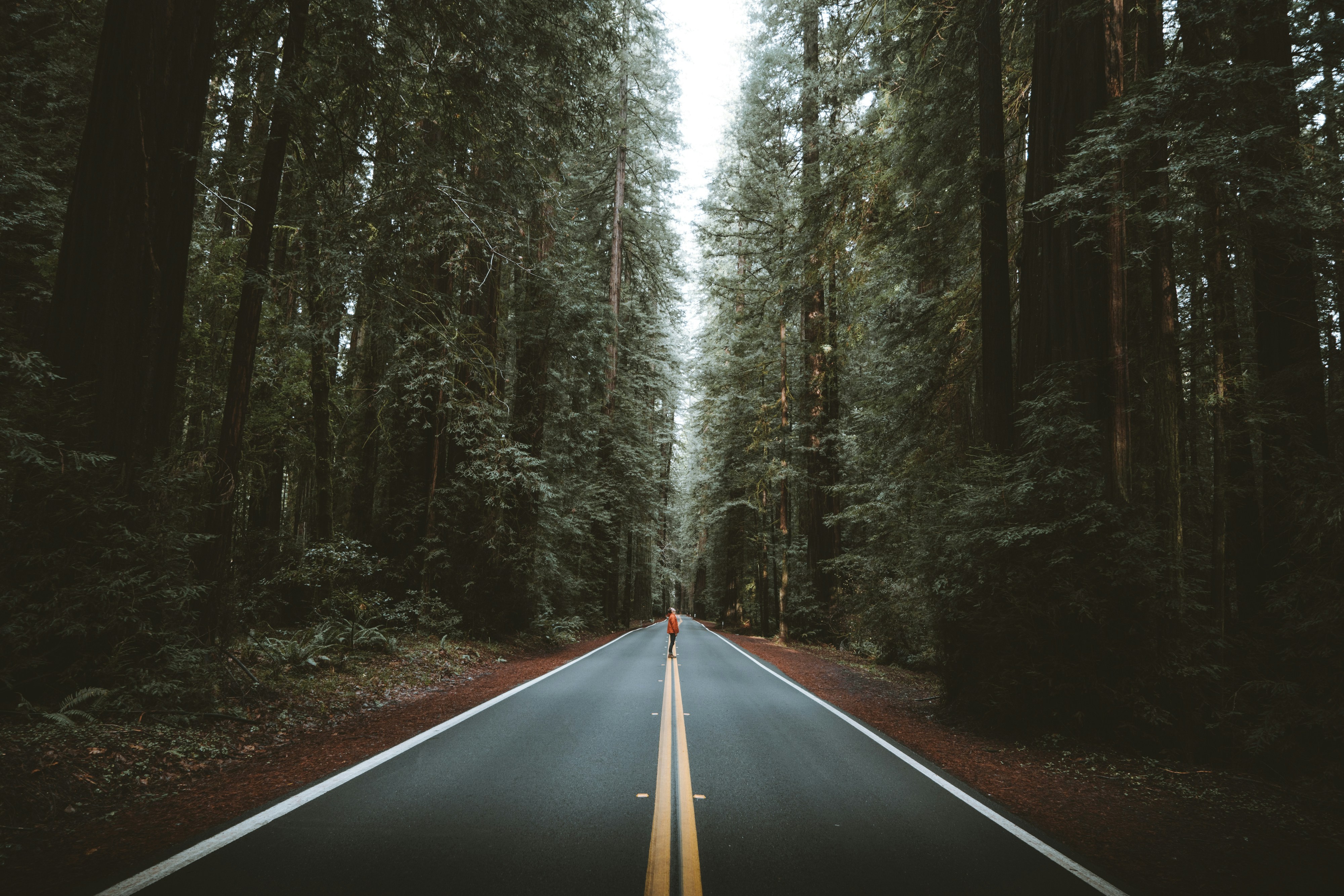 Photo by lifeof_peter_