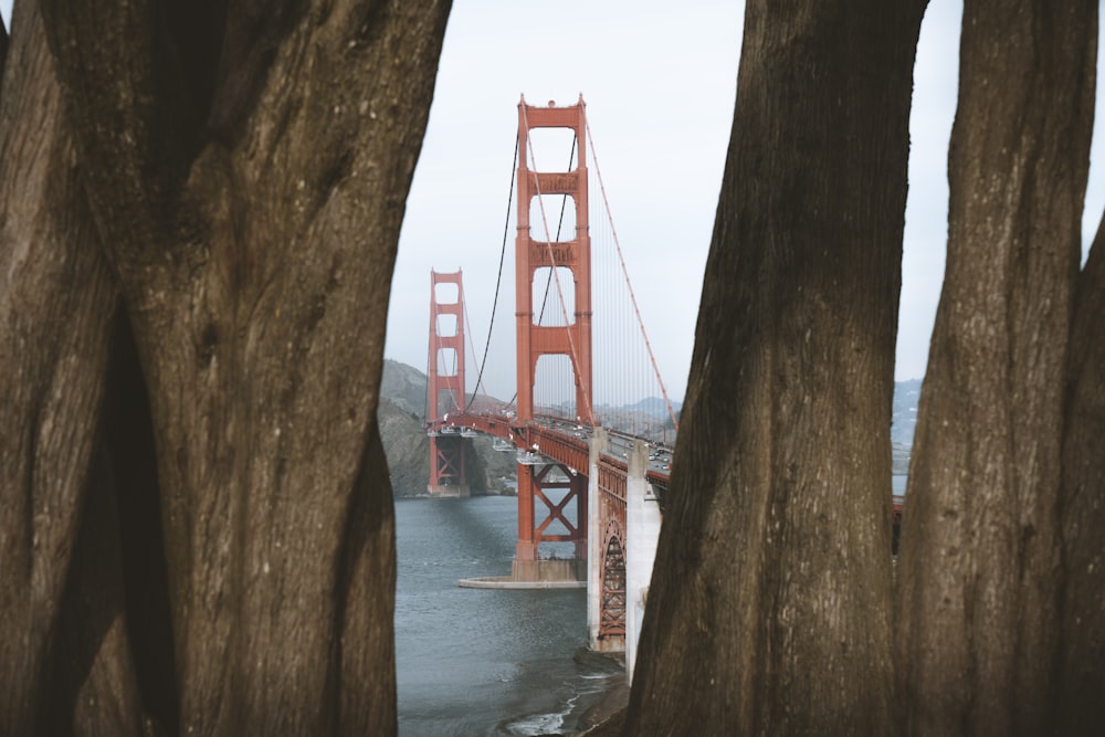 Golden Gate Bridge during daytime