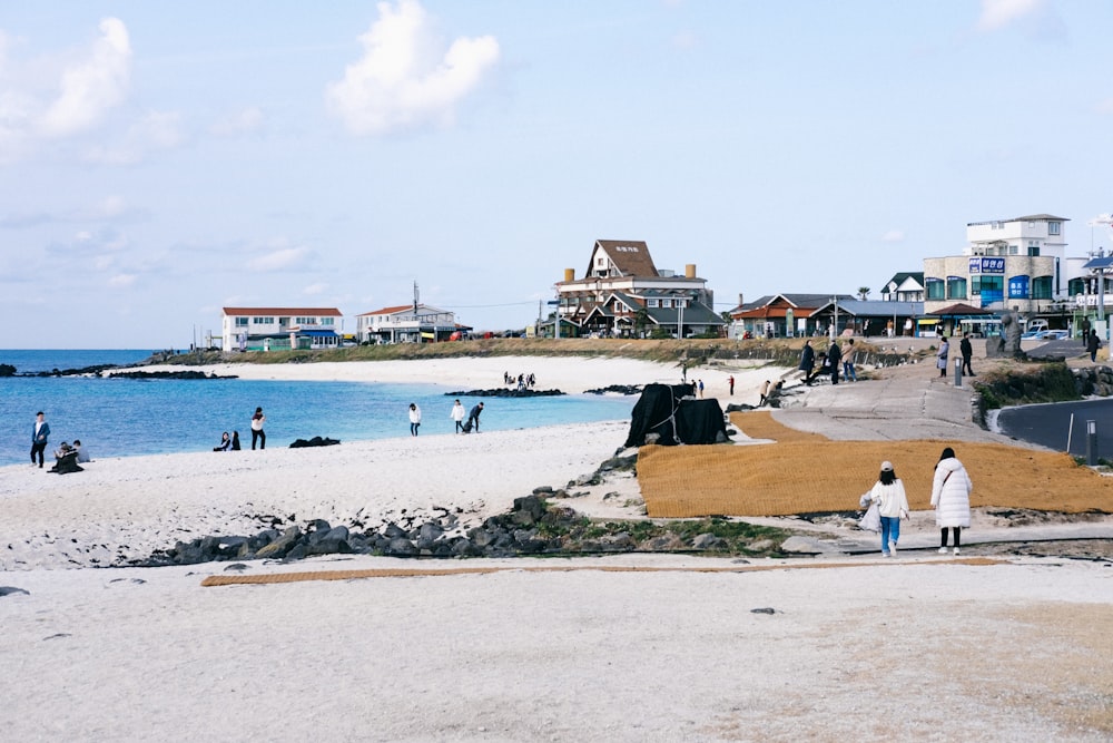 people walking on seashore during daytime