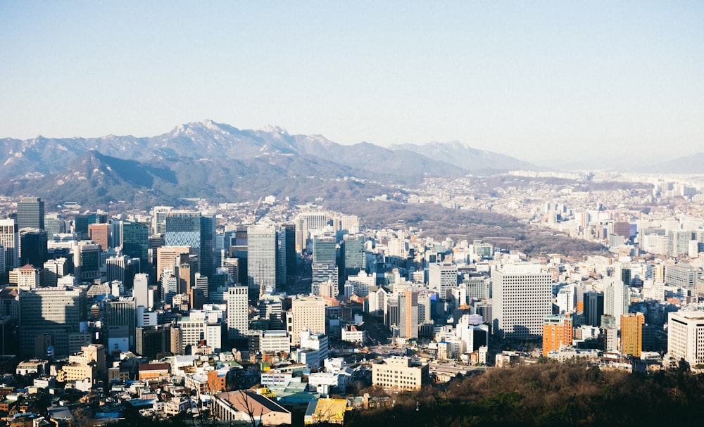 aerial photography of city during daytime