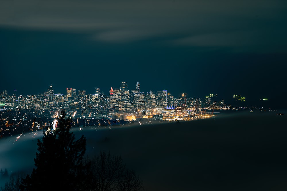 aerial photography of city skyline at night