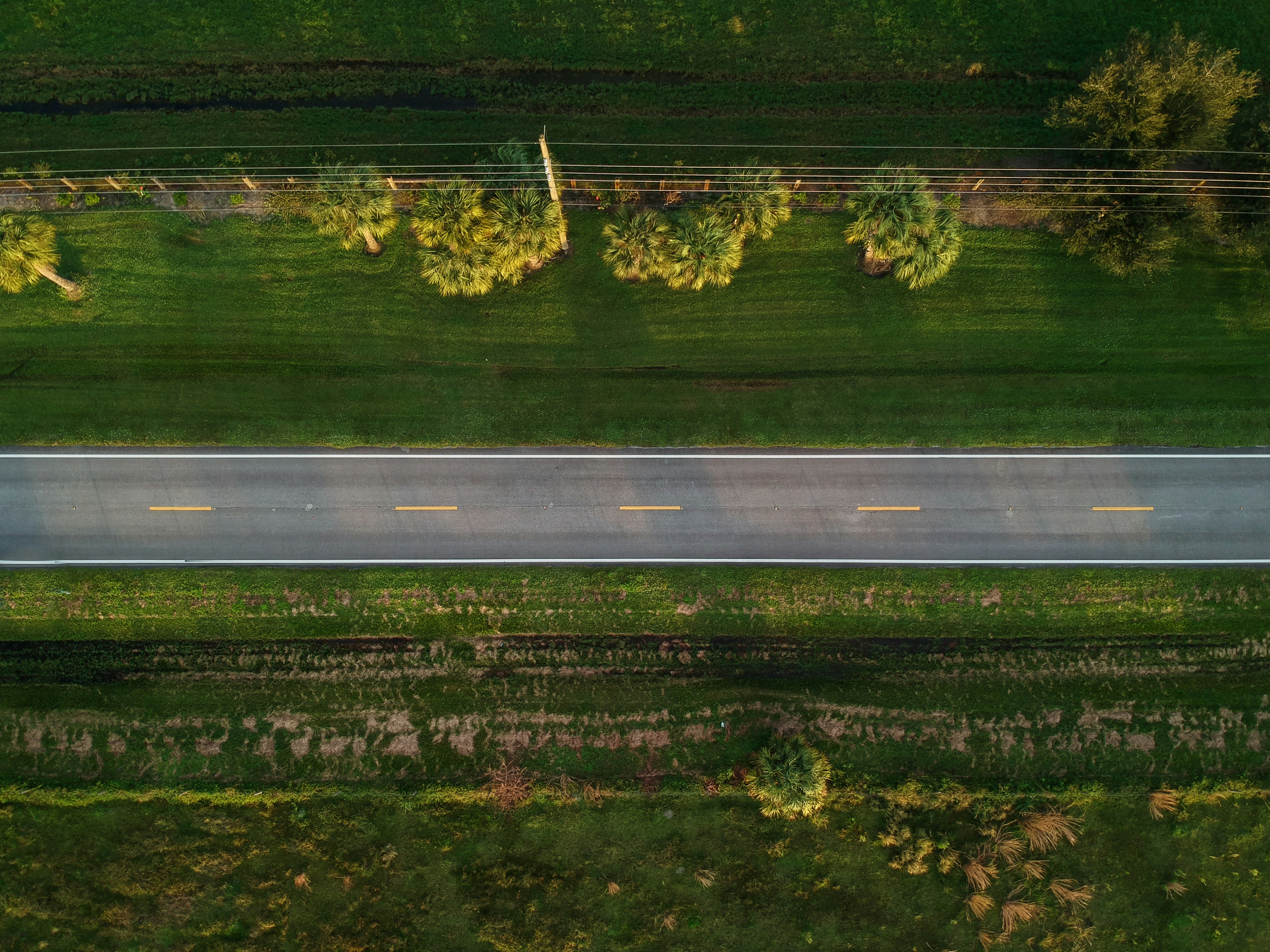 Photo by trentpalmer