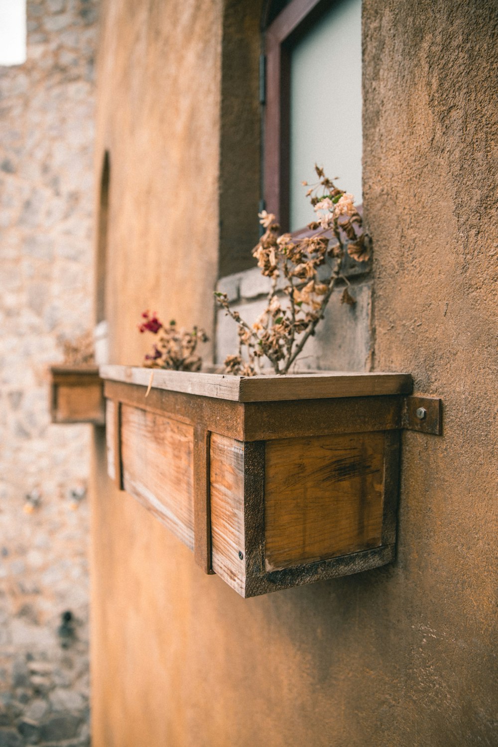 brown leaf flowers on brown wooden floating shelf