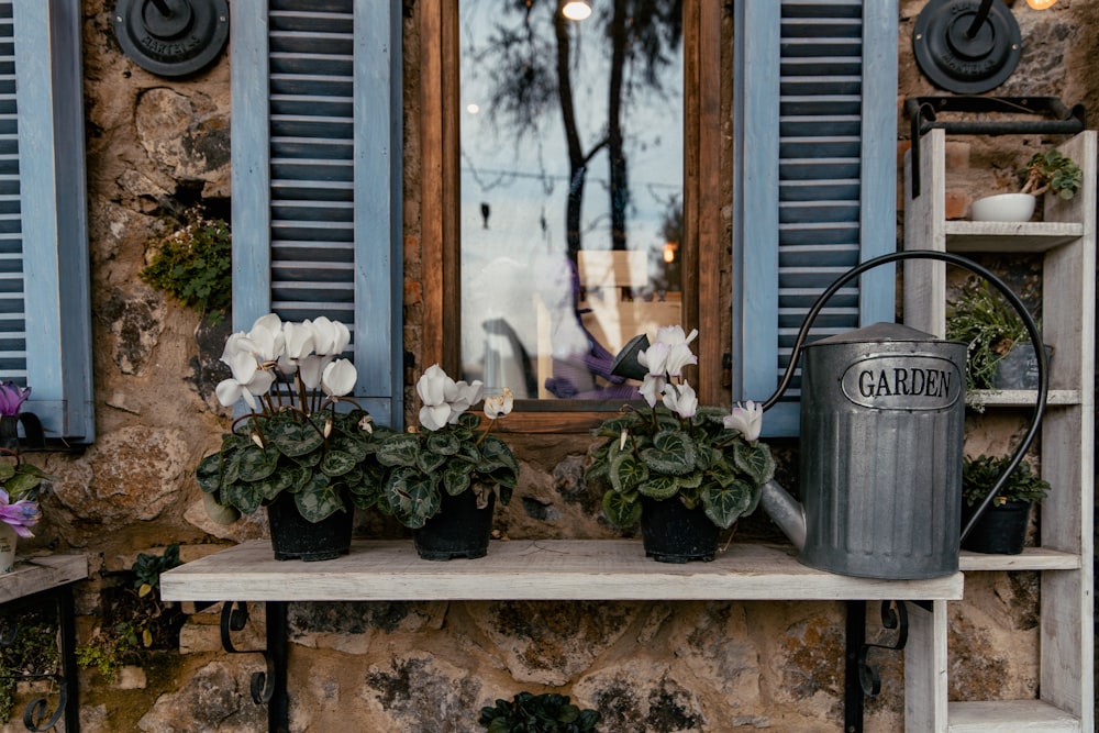 white petaled flowers in black pot near gray watering can on rectangular white table