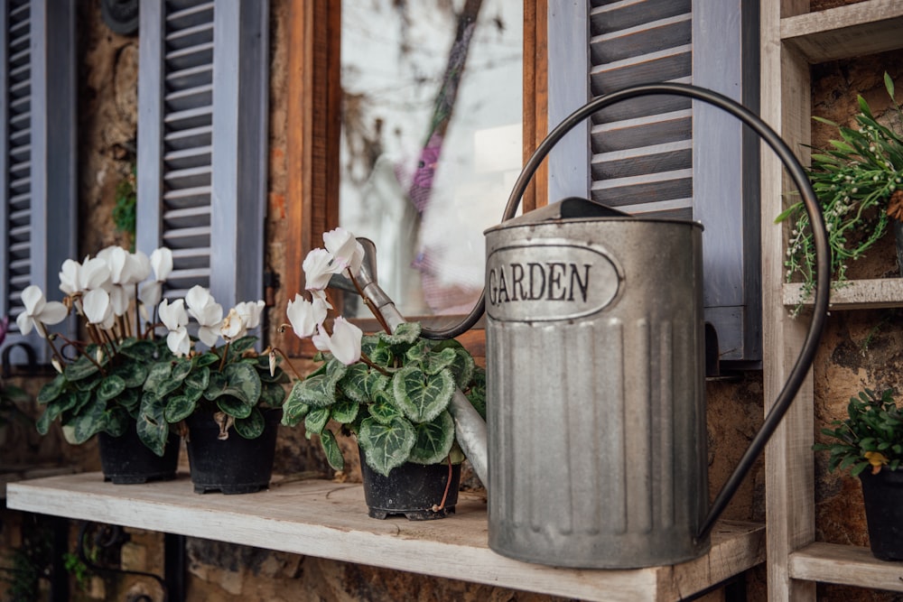 white petaled flowers in black pot near gray metal watering can on white table