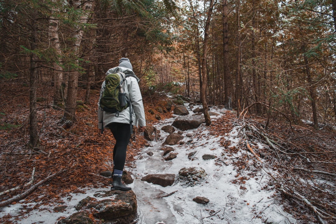 Forest photo spot Caves & Scenic Lookout Trail Bon Echo Provincial Park