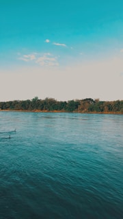 A calm river flowing smoothly, reflecting the pale blue sky and surrounding foliage.