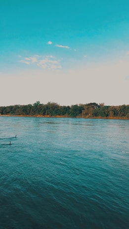 A calm river flowing smoothly, reflecting the pale blue sky and surrounding foliage.
