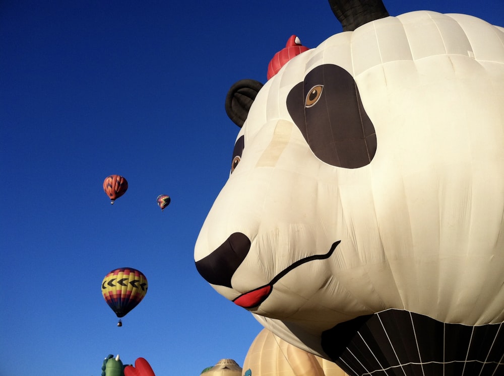 hot air balloons in mid air during day