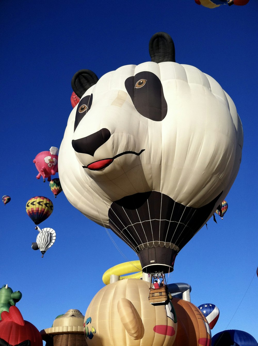 hot air balloons in mid air during day