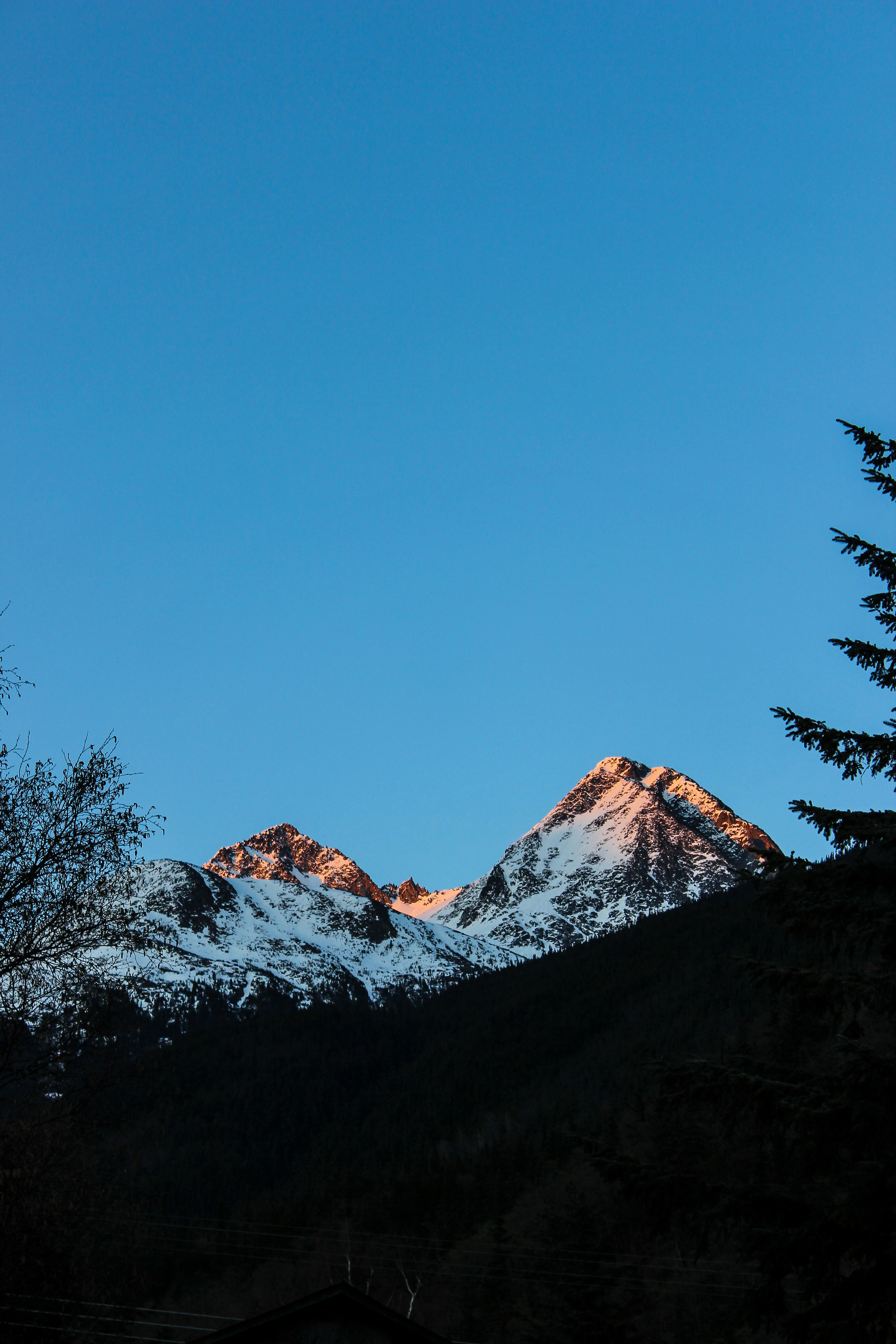 Photo by haeriesisdesigns