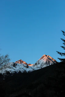 Snow-capped peaks glowing softly under the early morning sun with pine forests below.