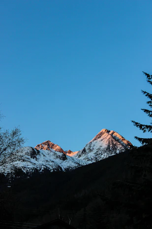 Snow-capped peaks glowing softly under the early morning sun with pine forests below.