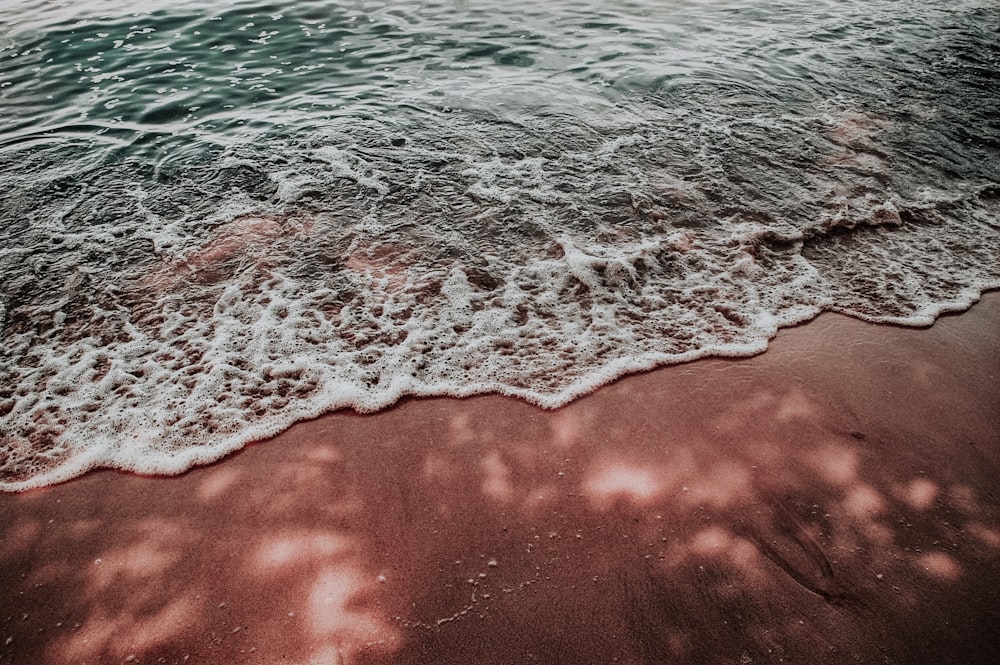 sea bubbles on shore