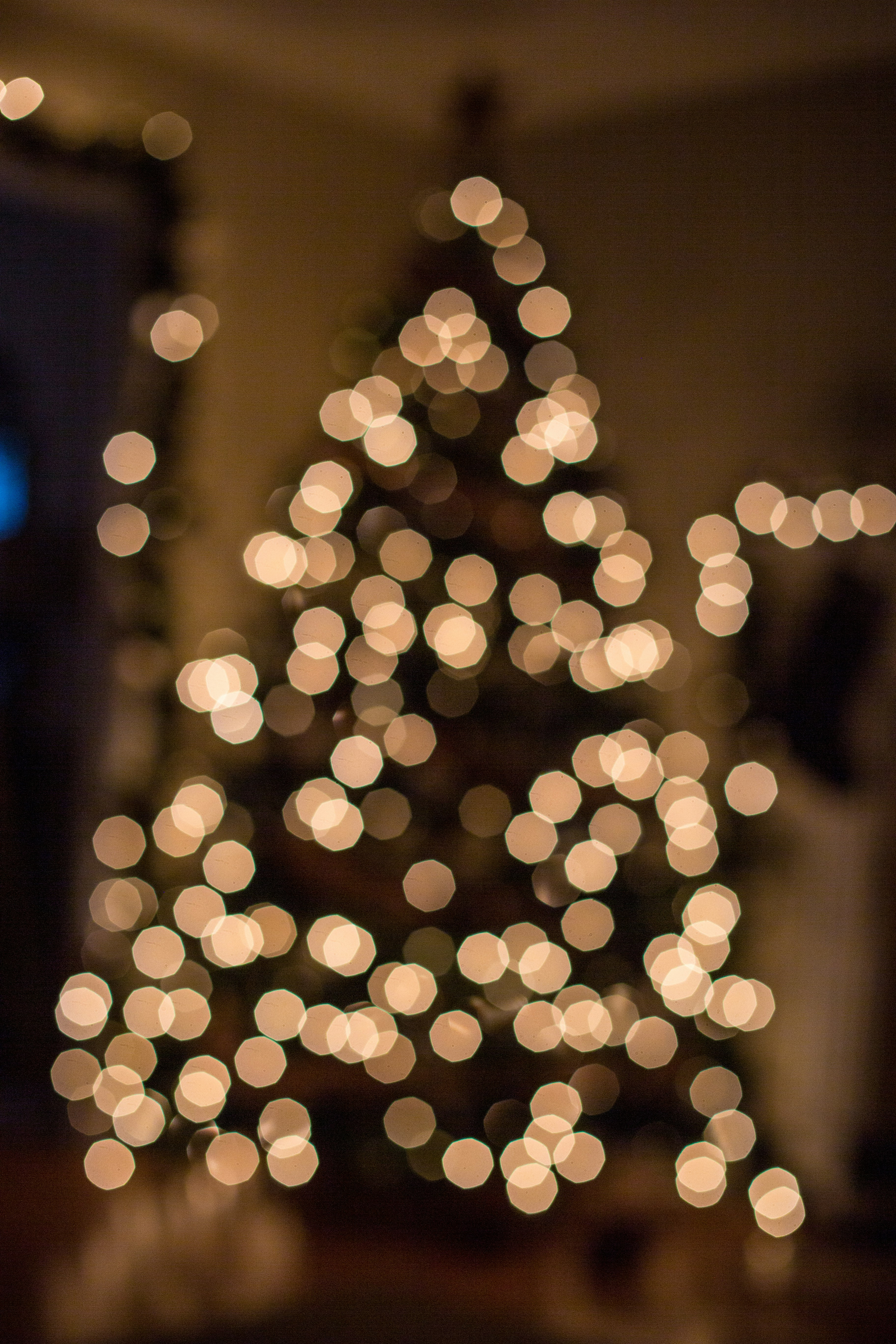 Photo by leilaniangel