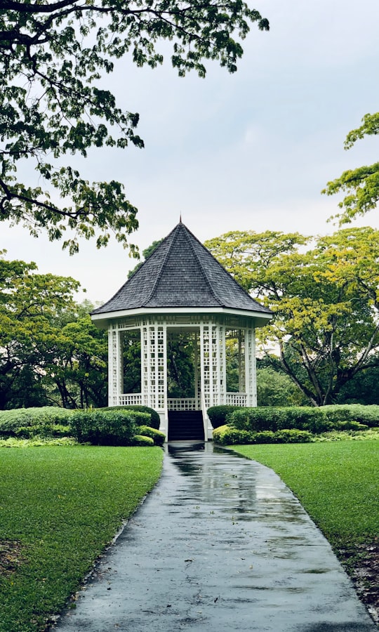 Singapore Botanic Gardens things to do in Woodlands