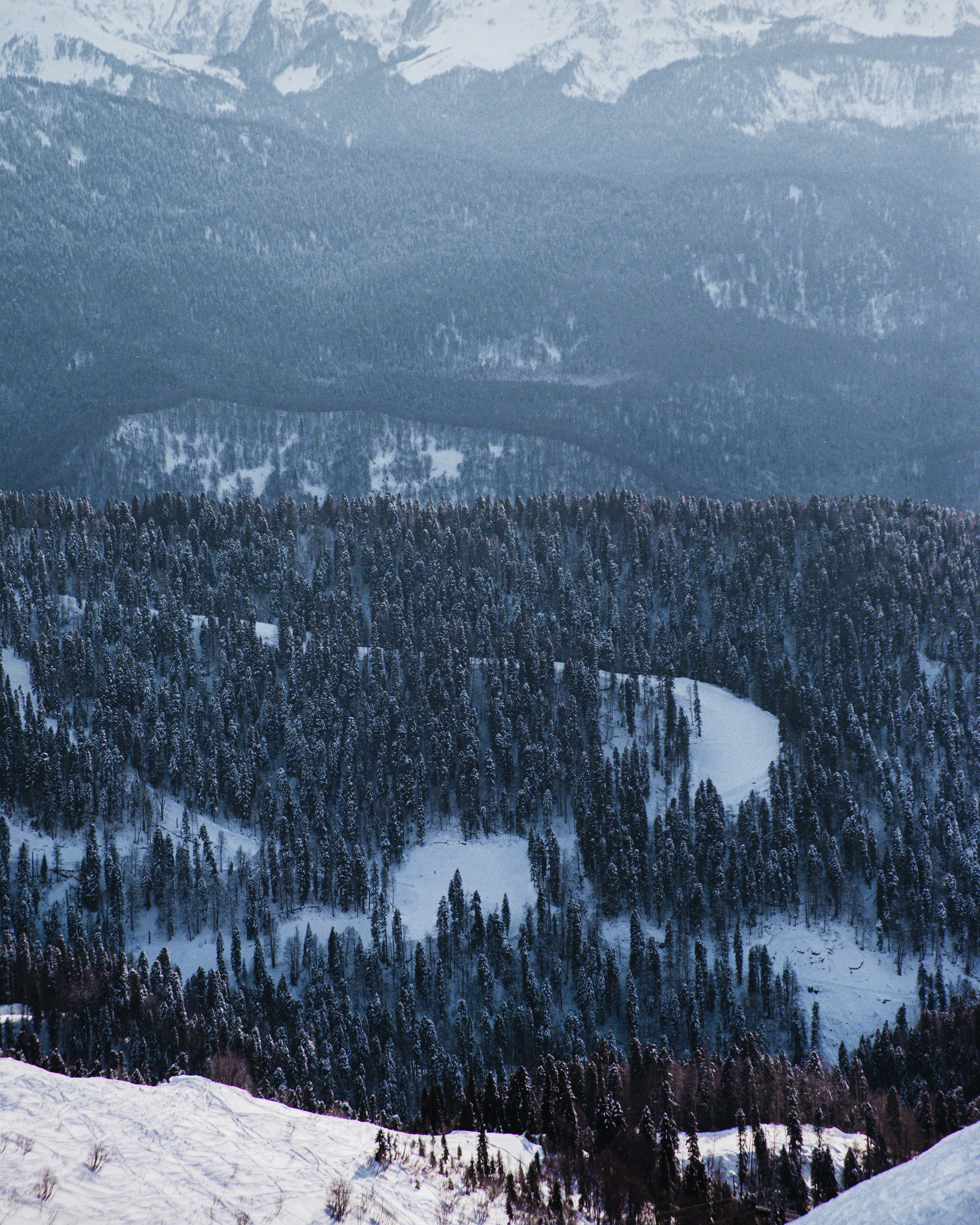 Photo by dentrushtin
