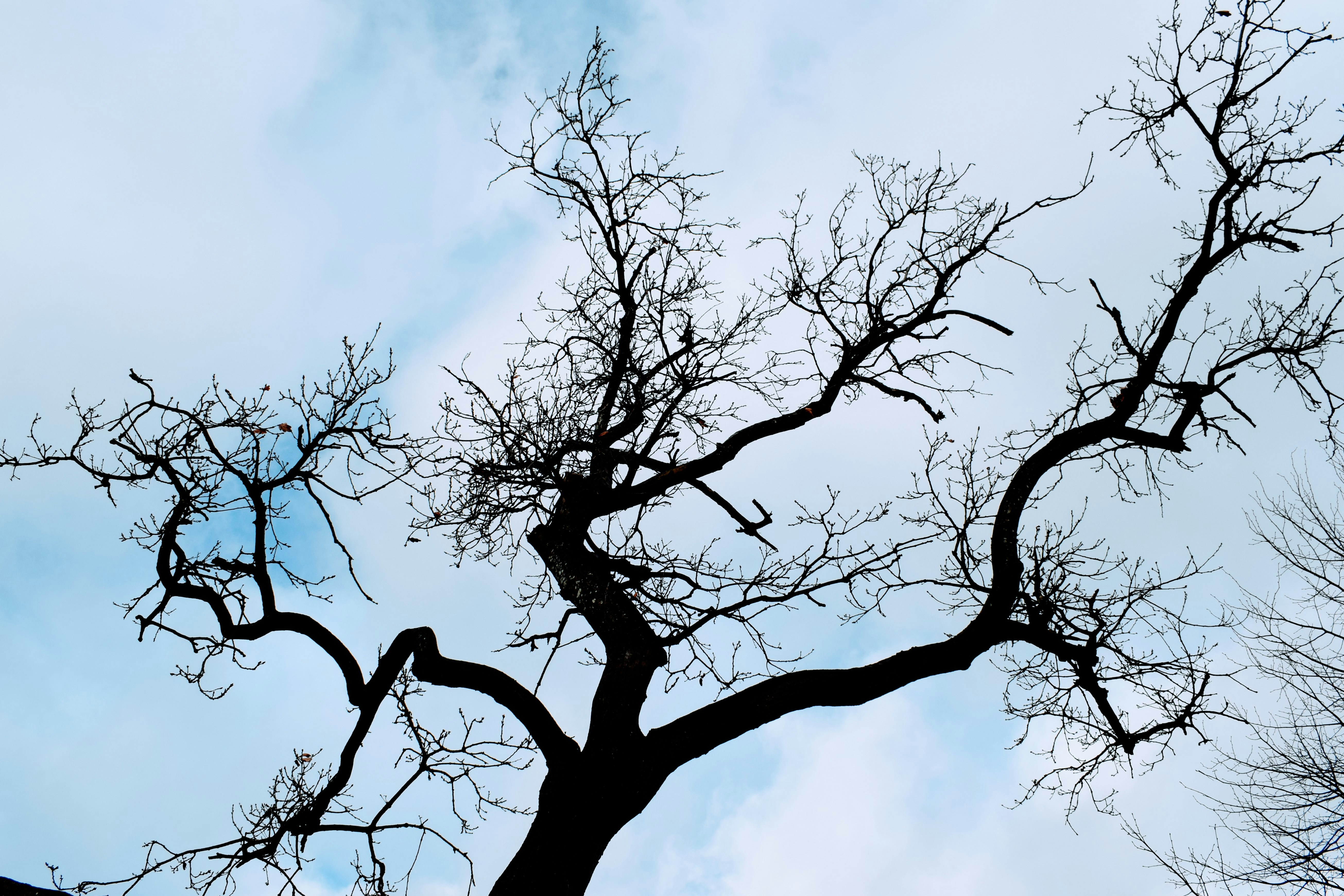 Photo by 4themorningshoot