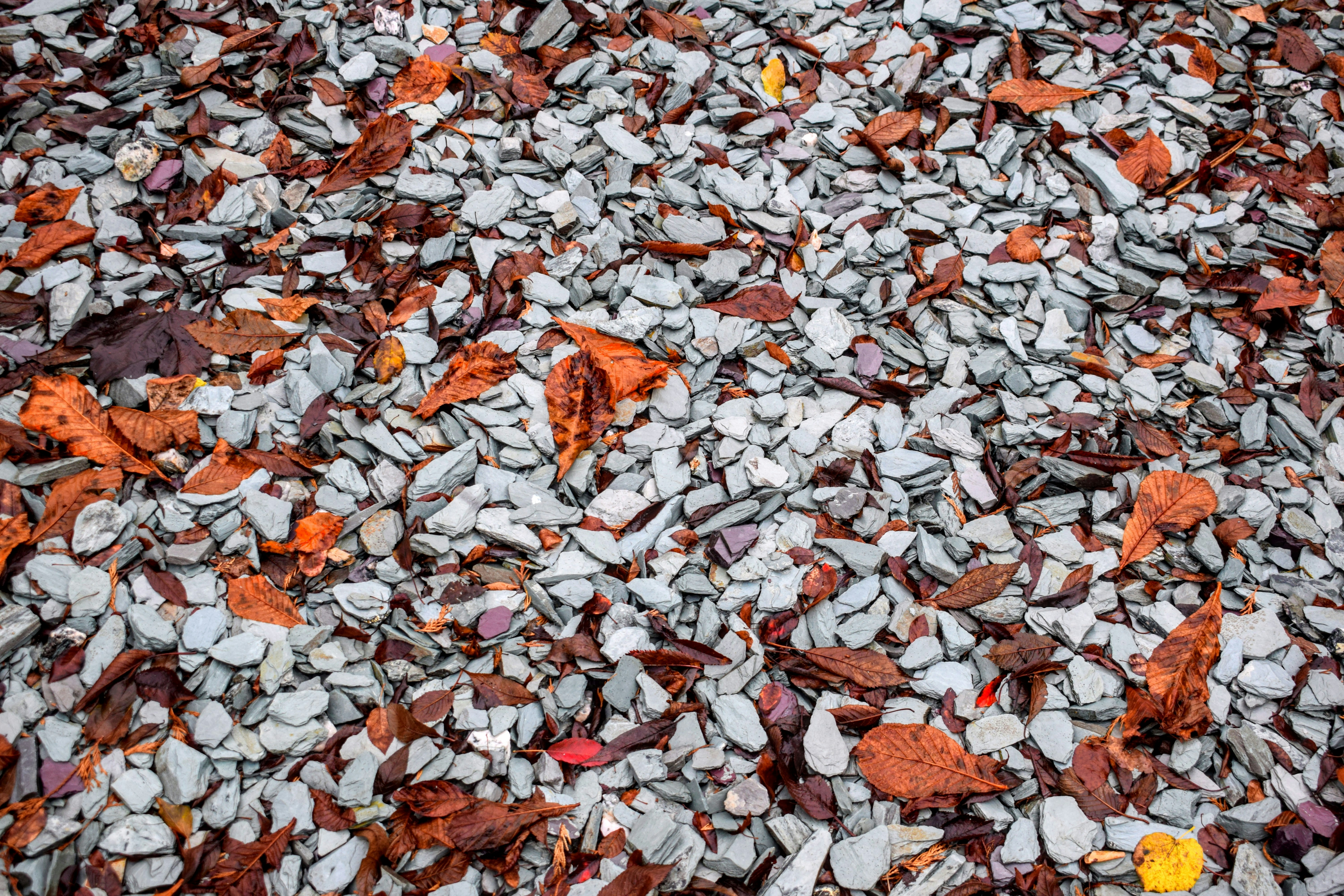 Photo by 4themorningshoot