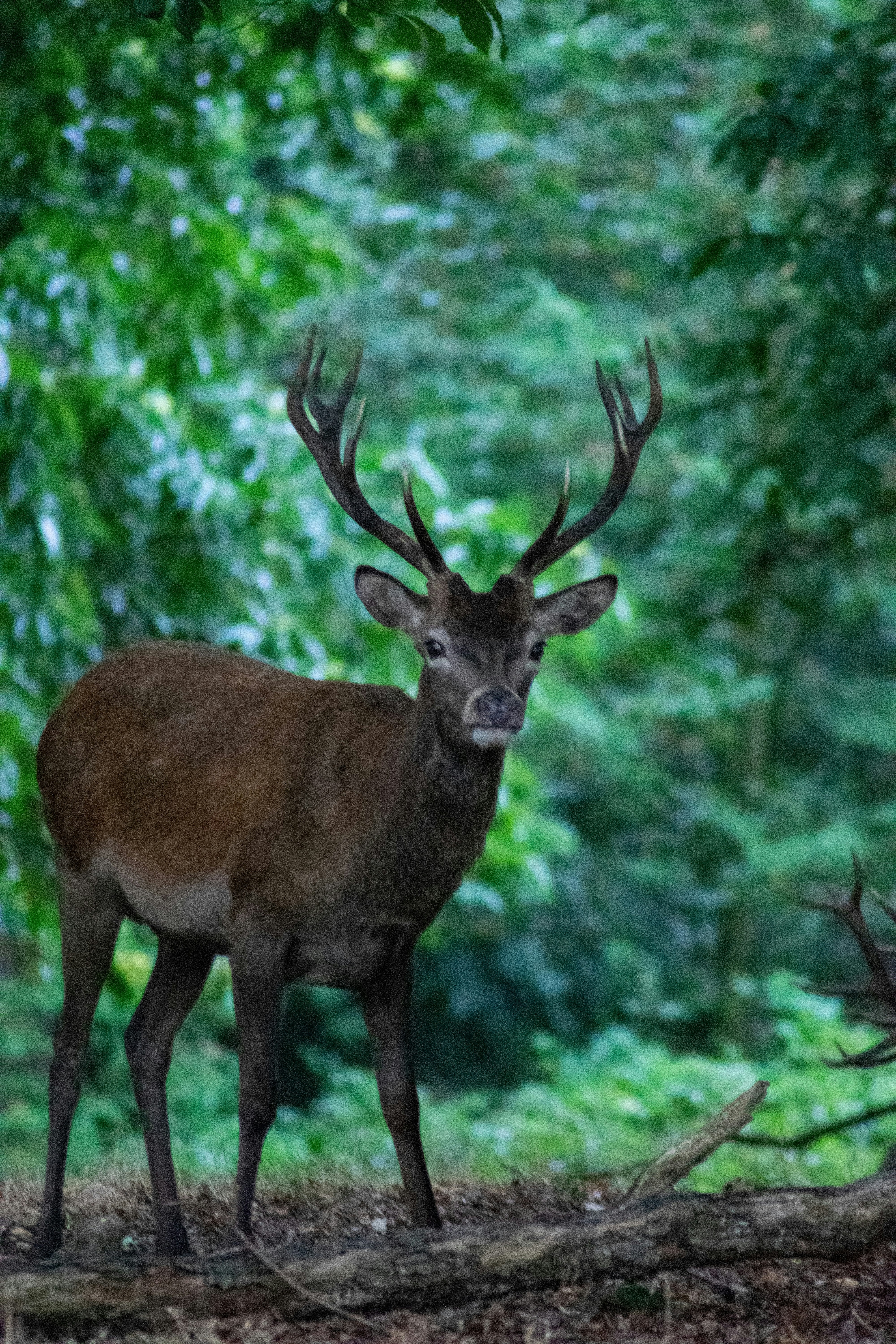 Photo by rhyskentish