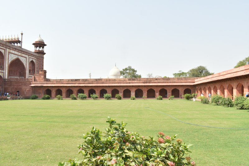 O Taj na abertura e Ranthambore