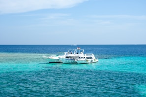 boats floating on the ocean during day