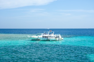 boats floating on the ocean during day