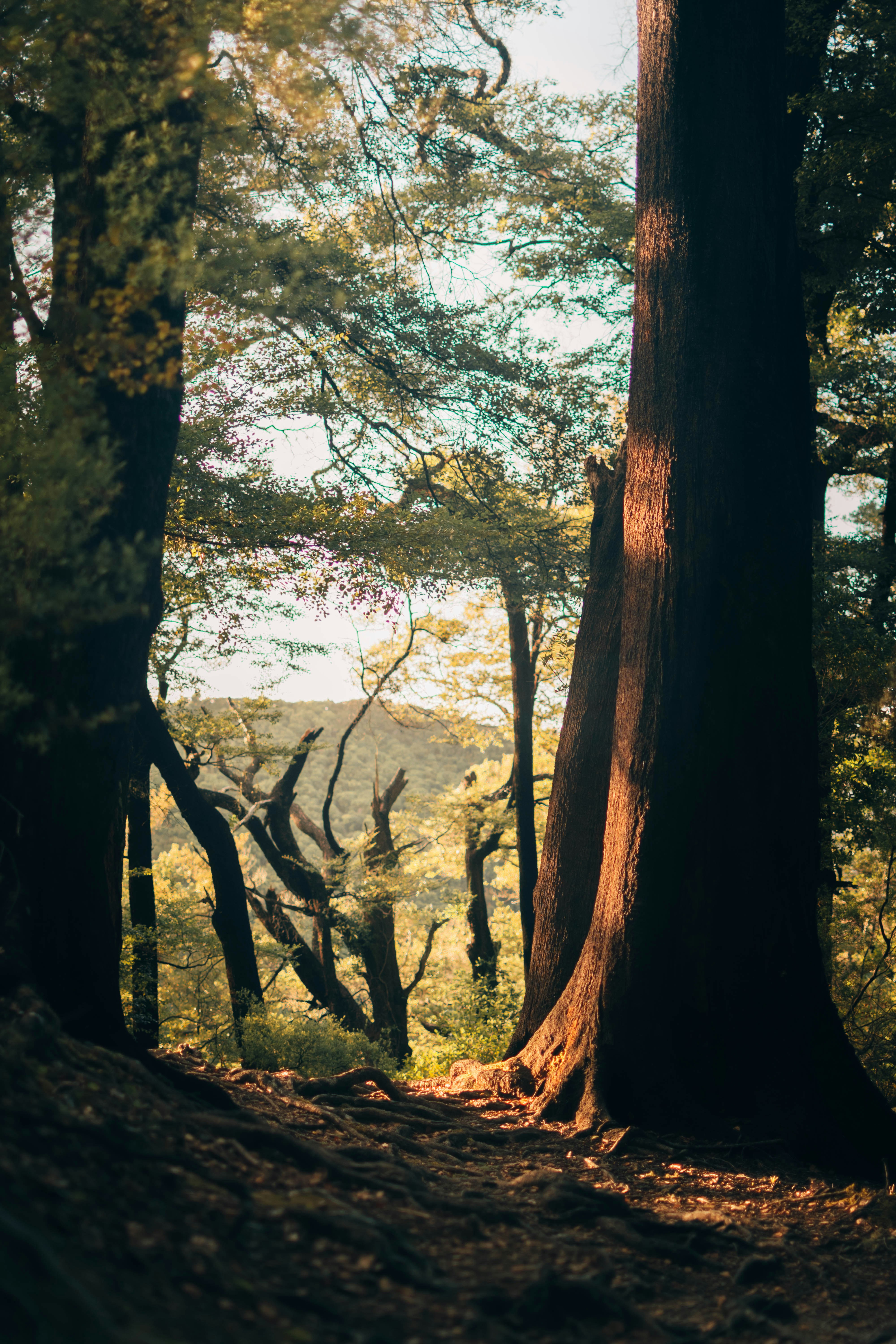 Photo by josiahfarrow