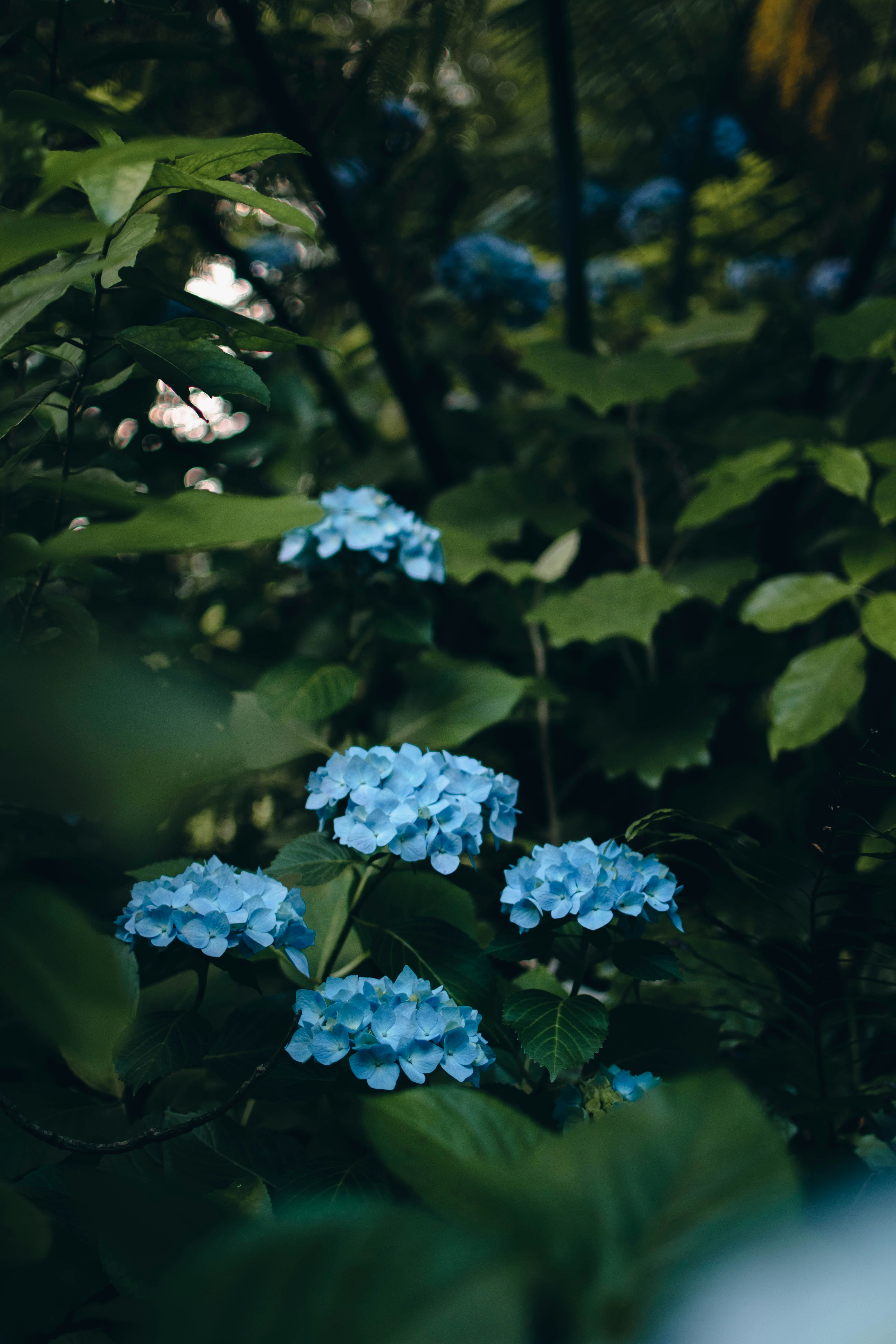 Photo by josiahfarrow