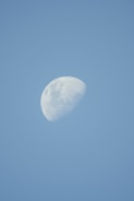 A clear and bright half-moon is set against a pale blue background, showcasing its craters and surface details.