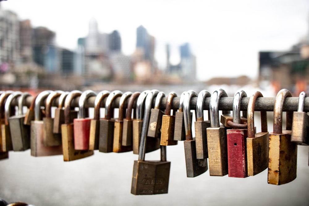 line of padlocks locked on metal bar during day