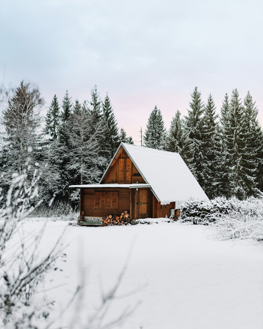 snow covered cabin near pine trees during day