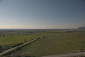 A vast landscape featuring expansive, flat fields with patches of greenery. A few isolated trees dot the horizon, and a narrow dirt road winds through the foreground. The sky is clear with a few sparse clouds, creating a serene atmosphere.