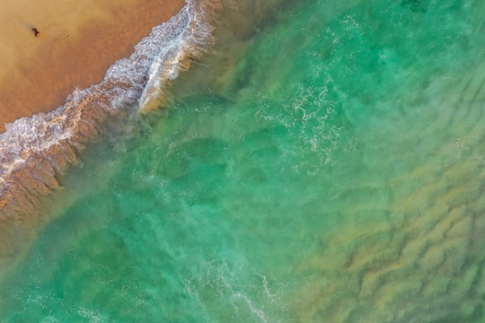 aerial photography of green body of water in Tamarama Beach Australia