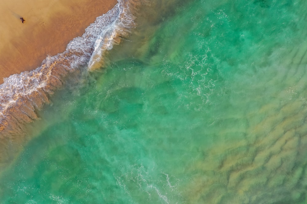 aerial photography of green body of water