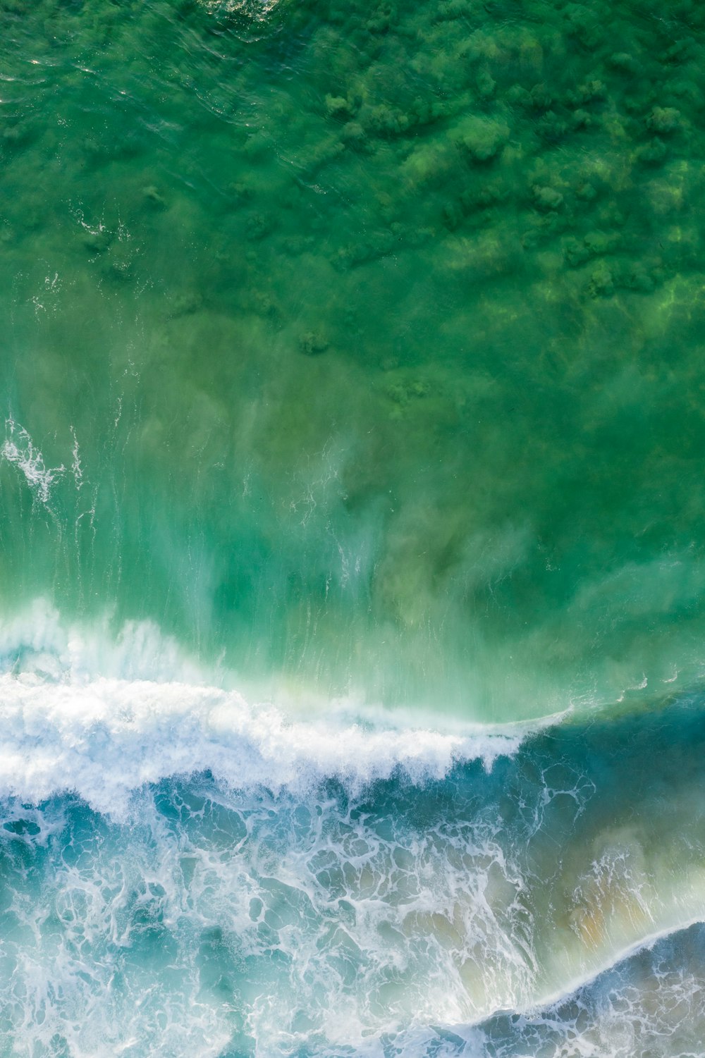 Fotografía aérea de un cuerpo de agua verde