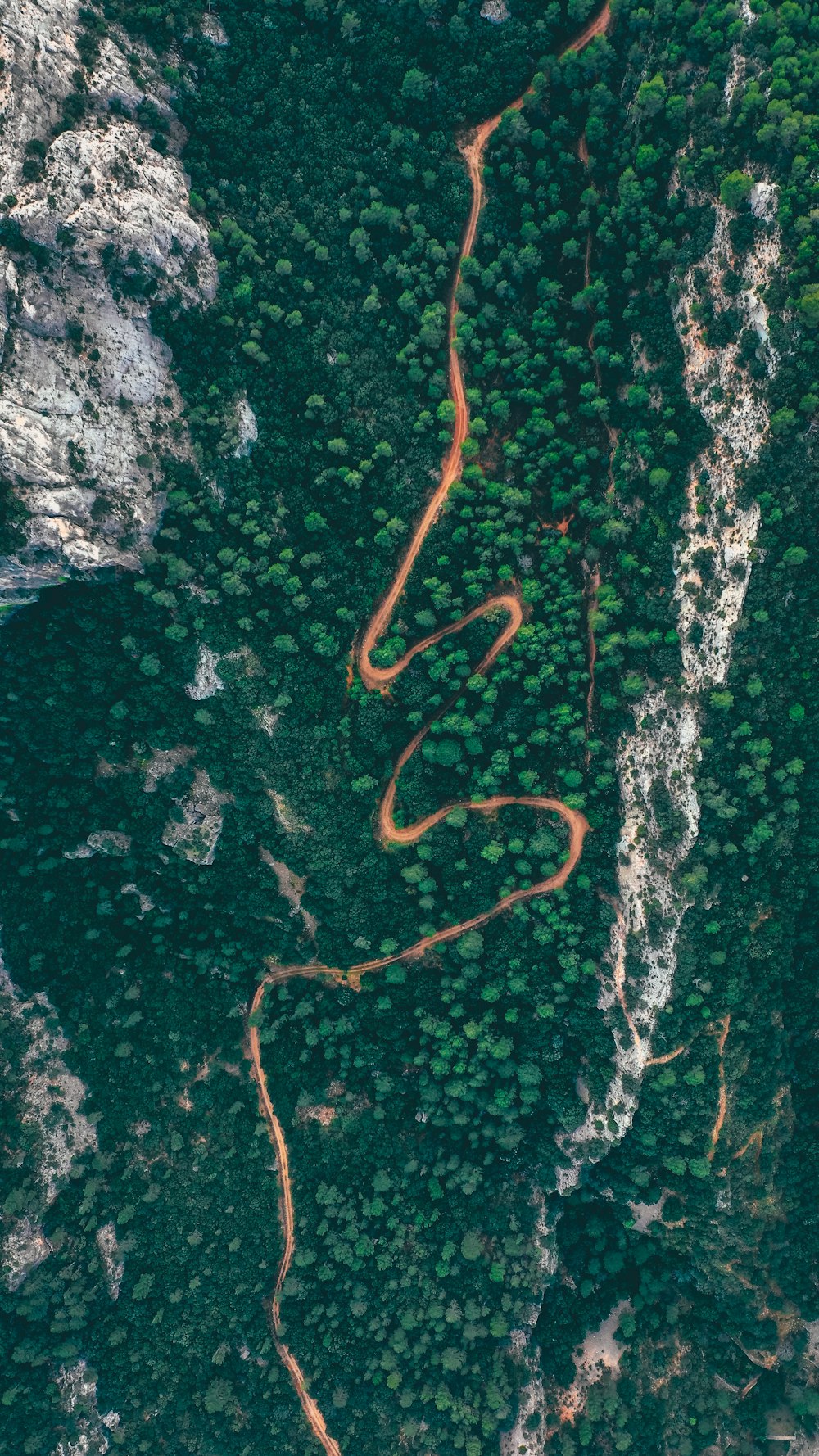 Wald und Berge tagsüber