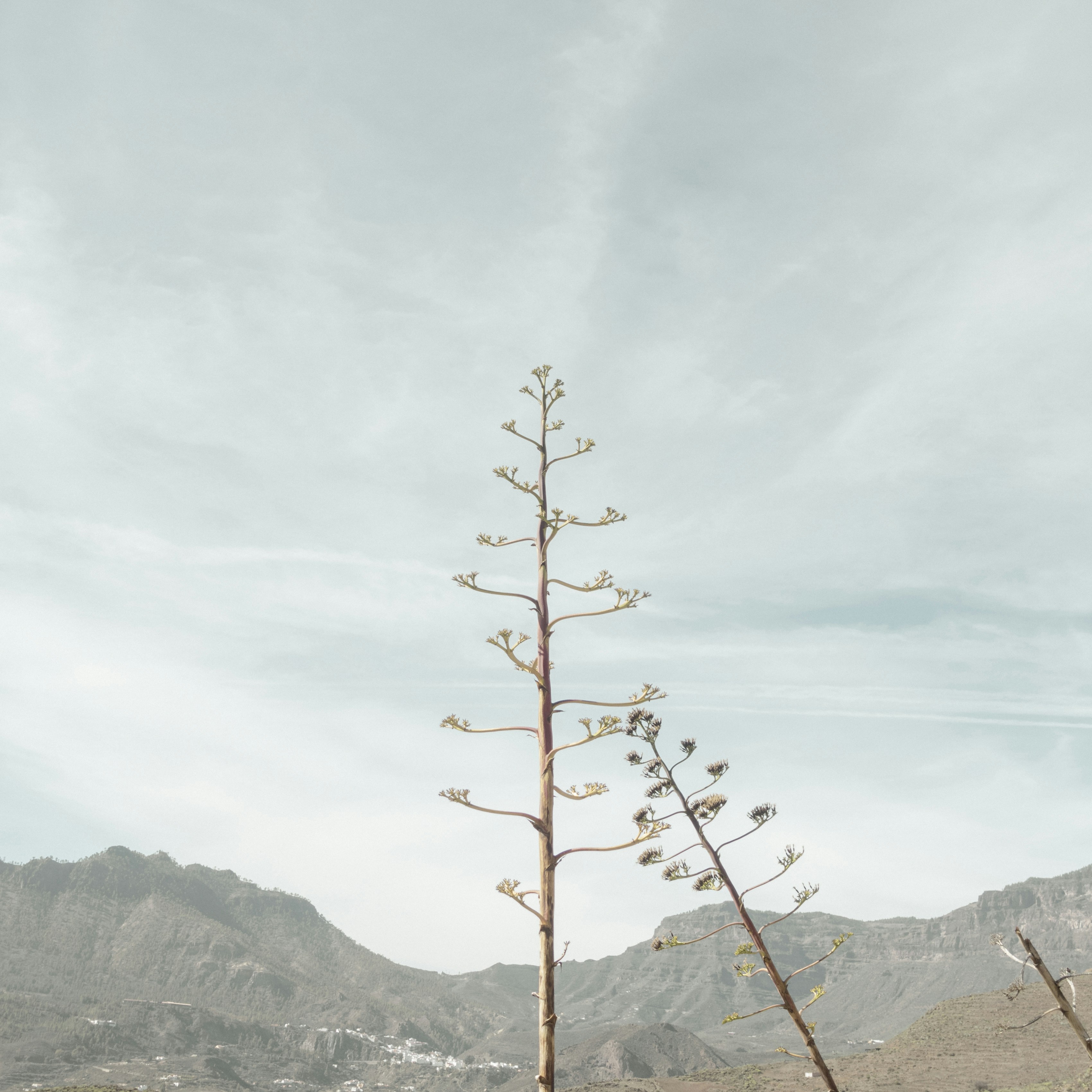 숨 쉬는 행복 되찾기: 천식 흡입기 사용법부터 청정 환경 조성까지, A to Z 완벽 가이드