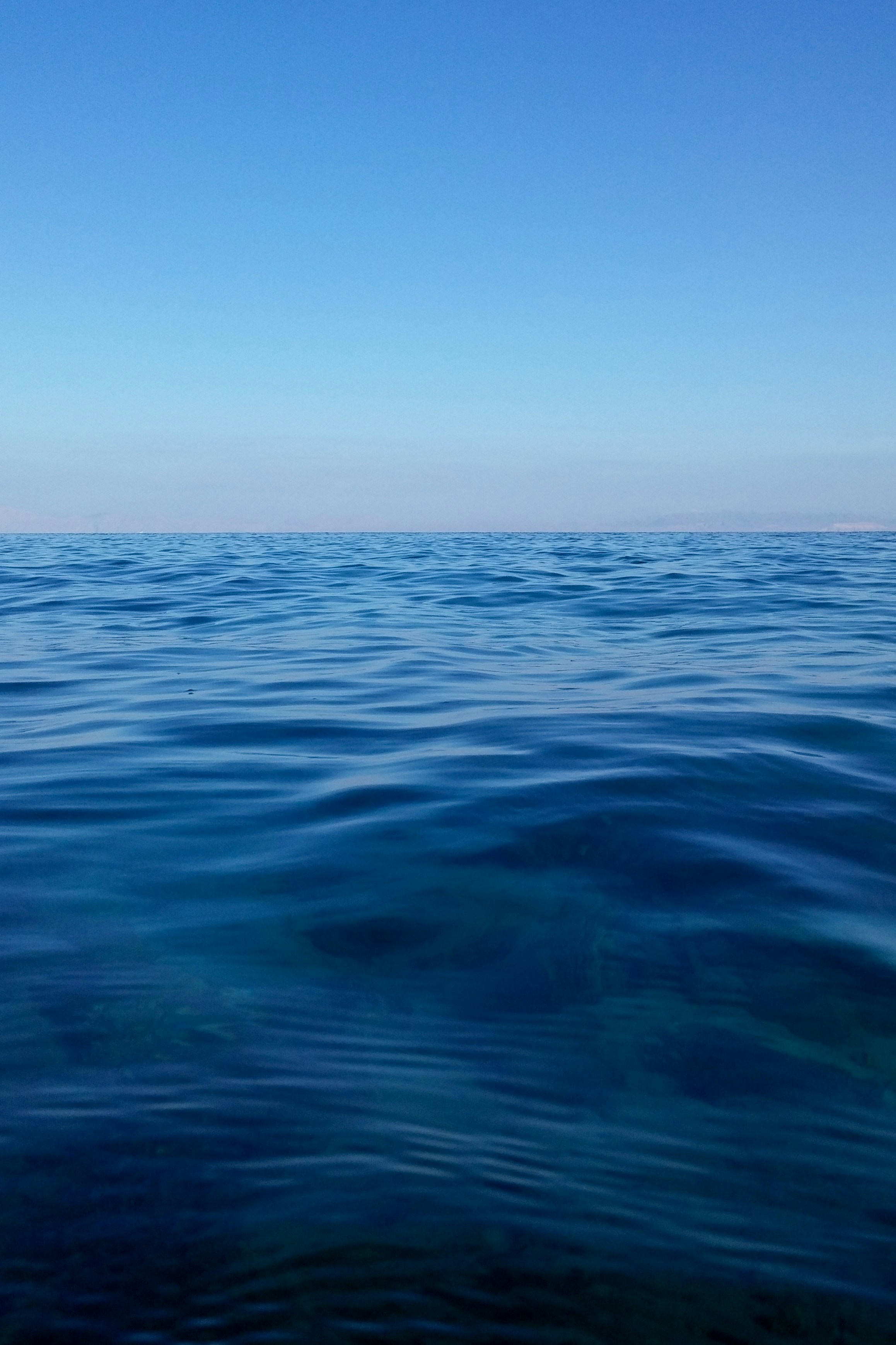 Photo by bear_lissimo