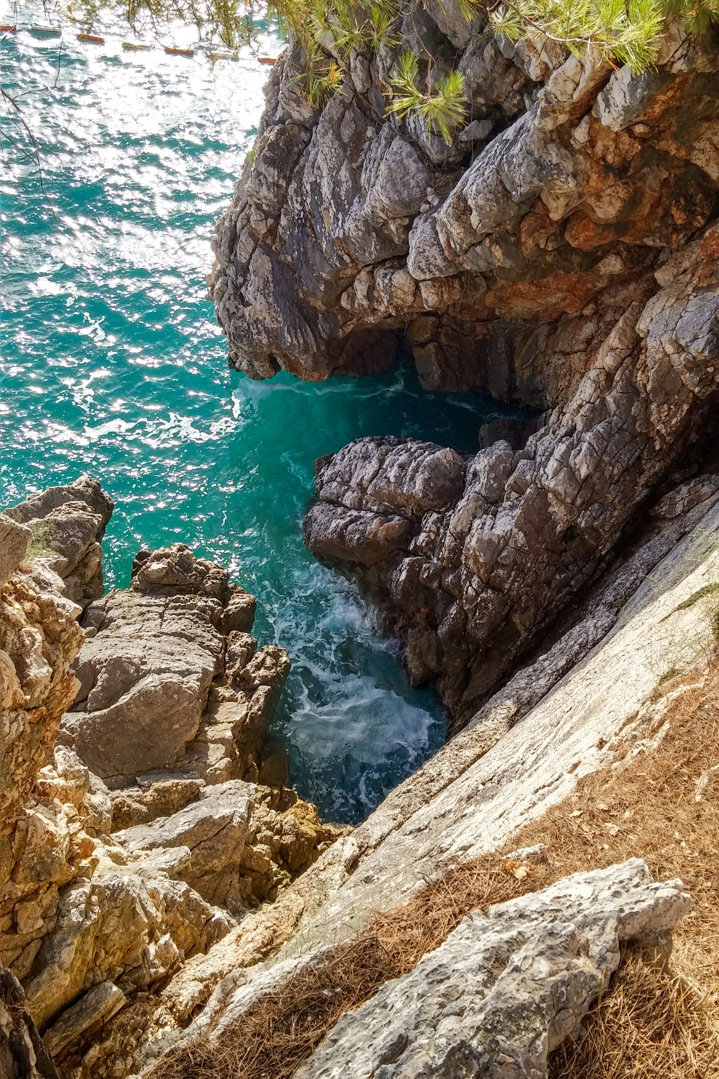 Photo by bear_lissimo