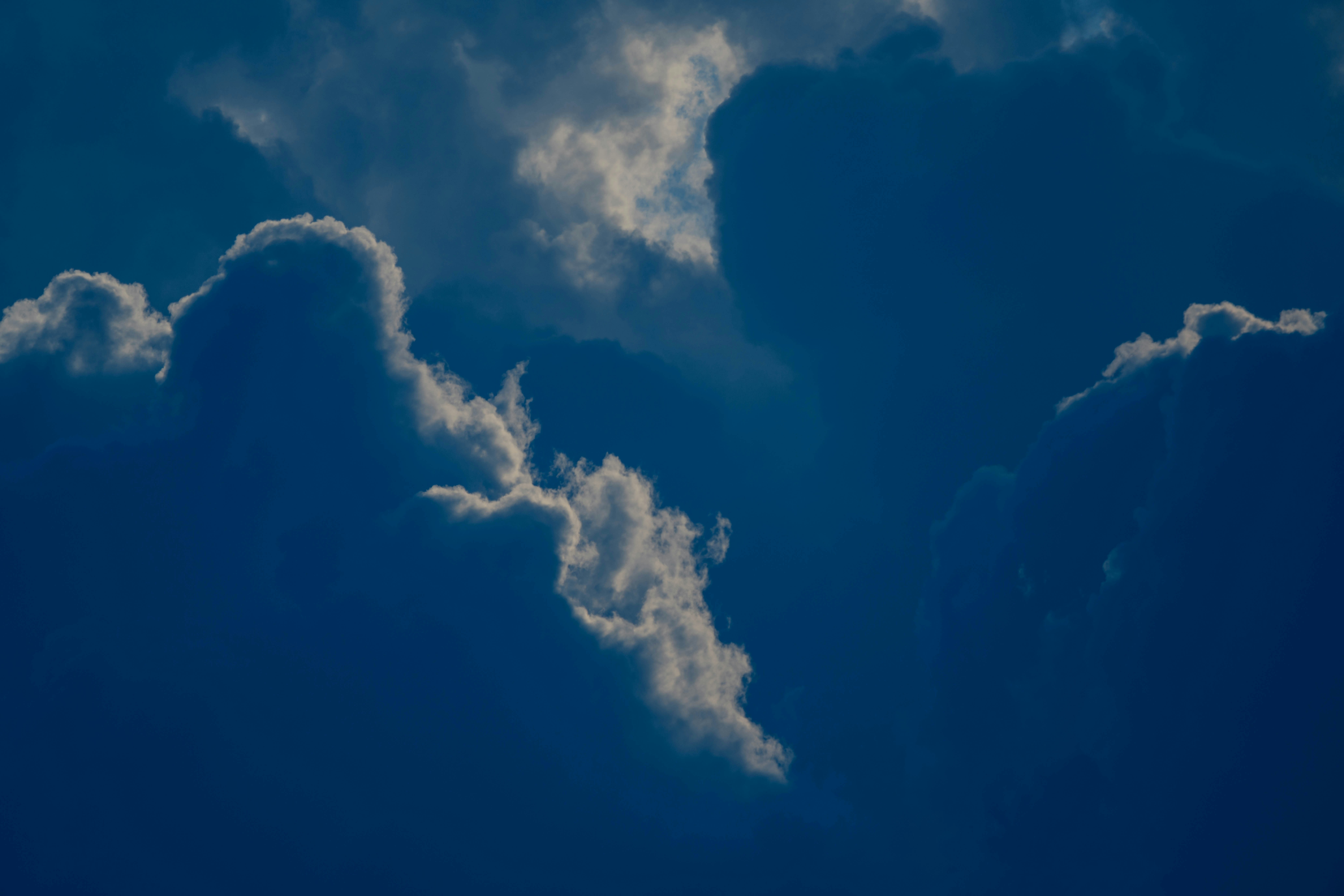 Photo by chuttersnap