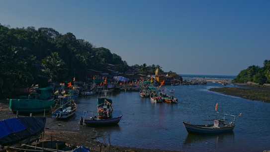 Several colorful fishing boats are anchored in a small harbor, surrounded by lush greenery and a few scattered buildings. Orange flags are visible on the boats, and there is a calm sea in the background under a clear blue sky.