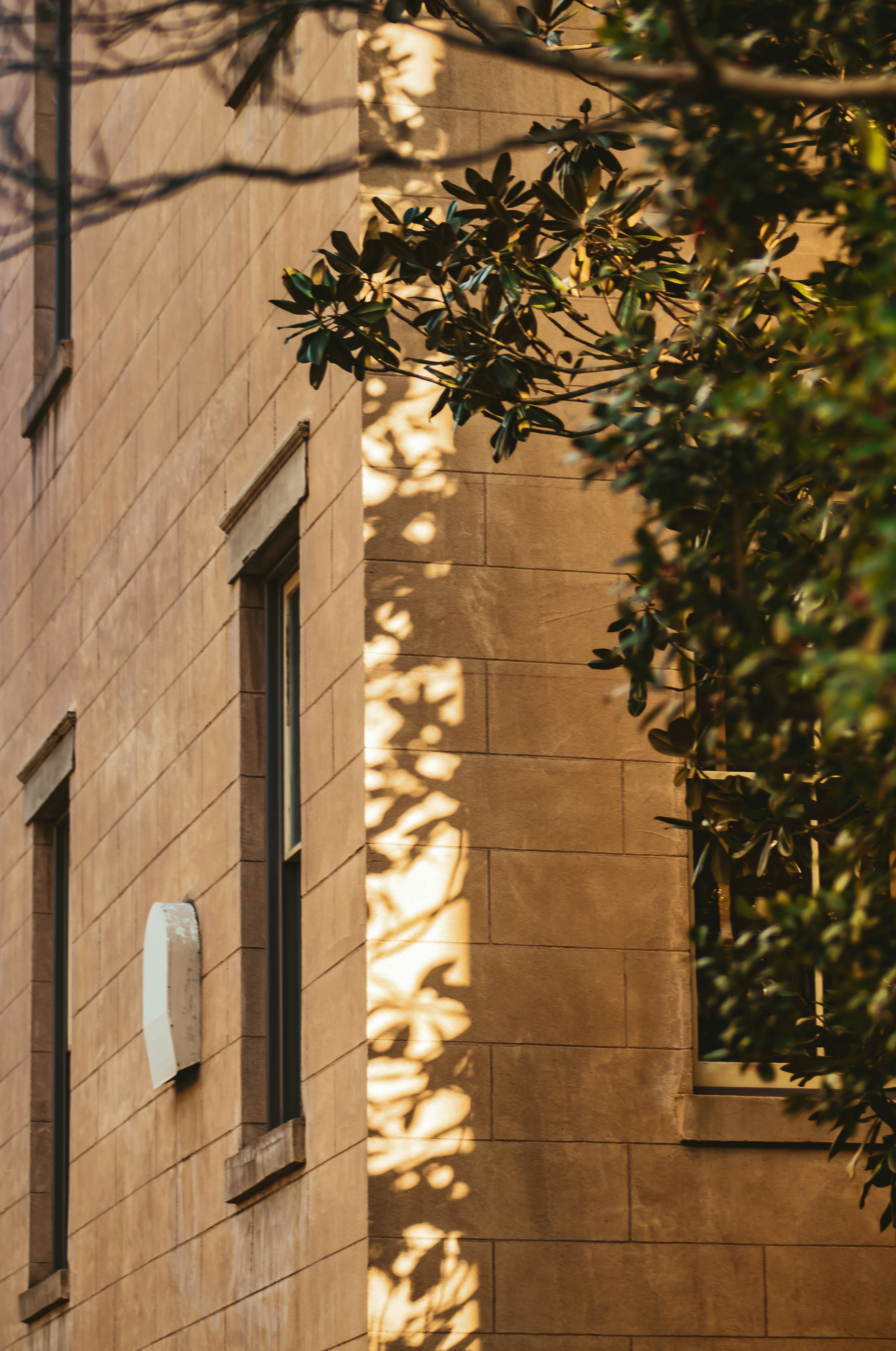 Photo by imajingation