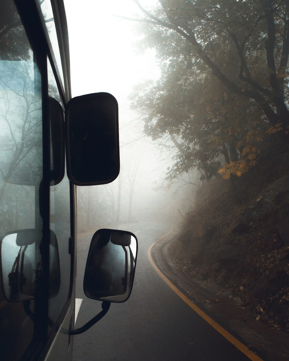 black vehicle on road surrounded with green trees in foggy day