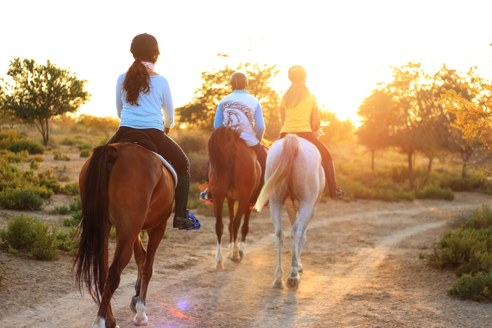 three persons riding horses