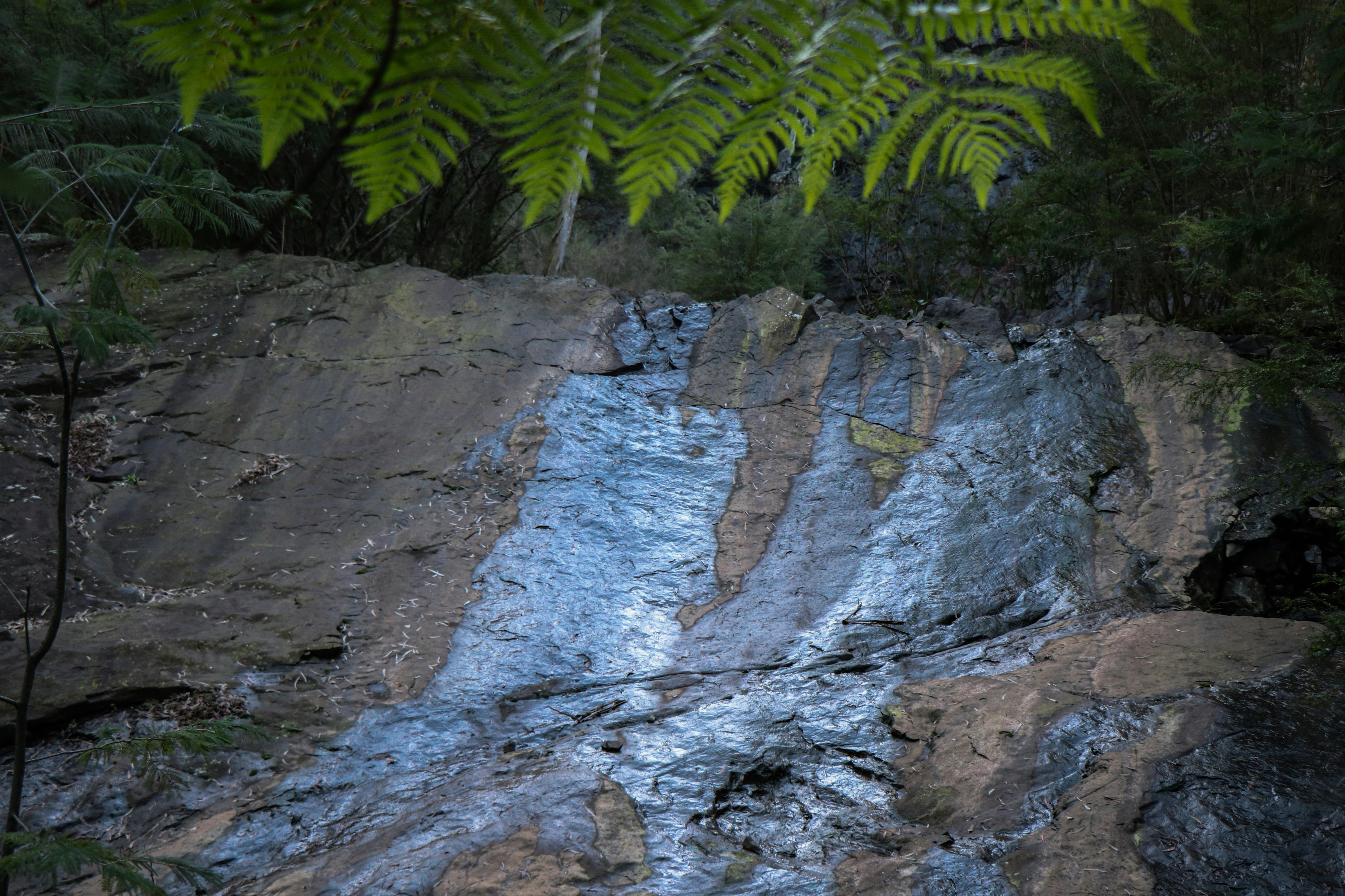 BlackRock deposits $200M in Bitcoin and $29M in Ethereum to Coinbase Prime