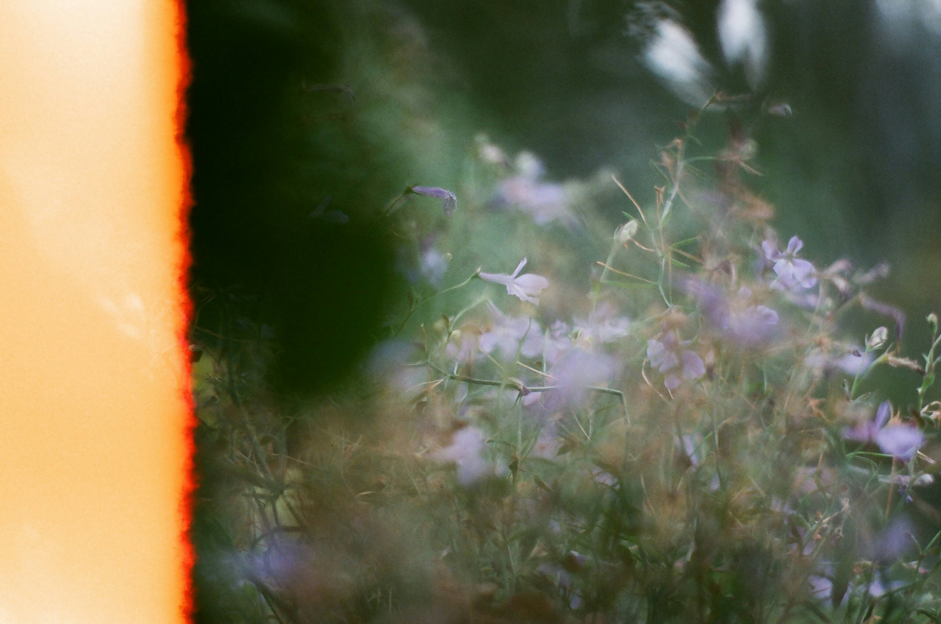 Photo by zaurgiyasov